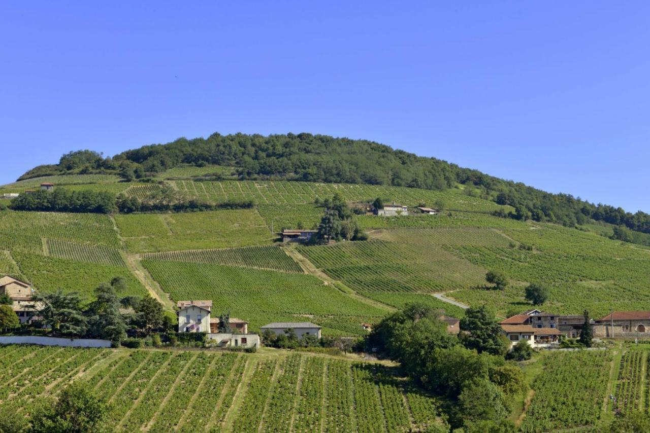 Appartement Cosy Au Coeur Du Beaujolais Saint-Lager المظهر الخارجي الصورة